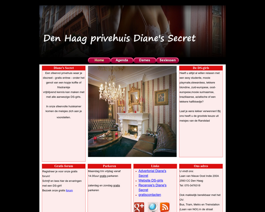 Diane's Secret Logo